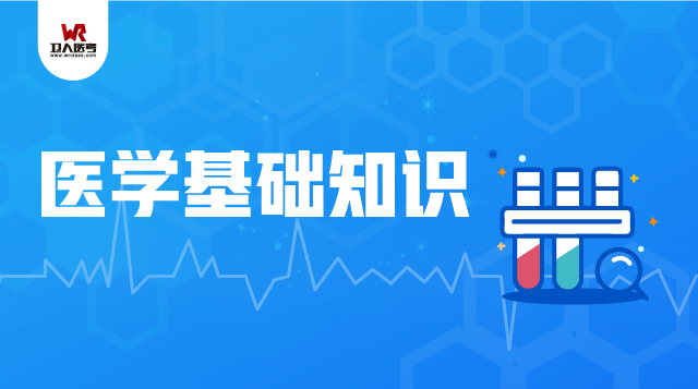 醫學基礎知識